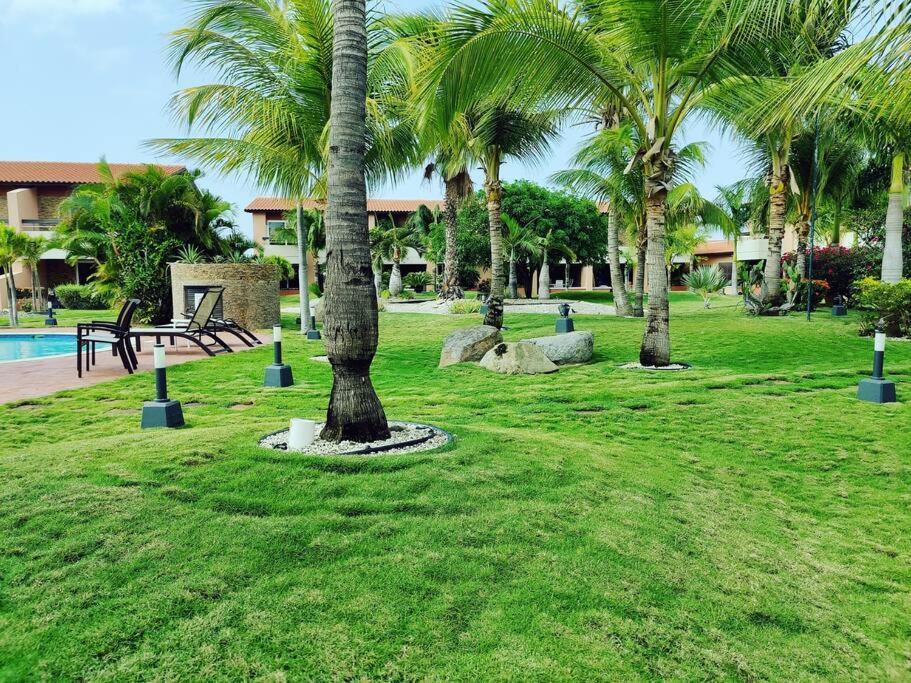 Aruba Family Oasis 2Br Pool 3Min Walk To Eagle Beach Palm Beach Exteriér fotografie