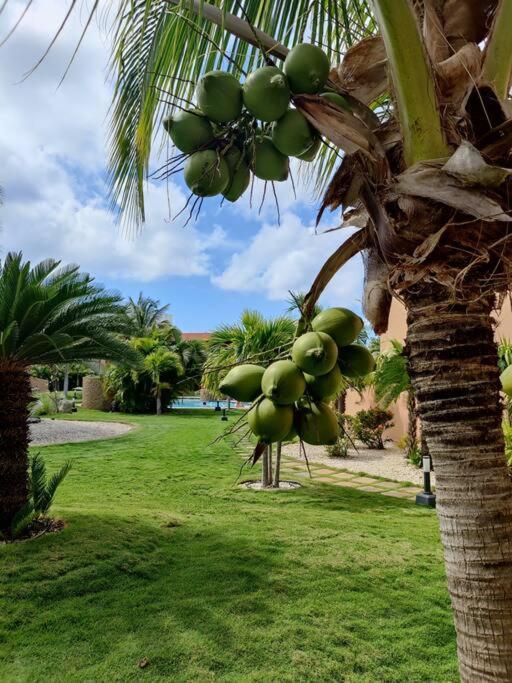 Aruba Family Oasis 2Br Pool 3Min Walk To Eagle Beach Palm Beach Exteriér fotografie