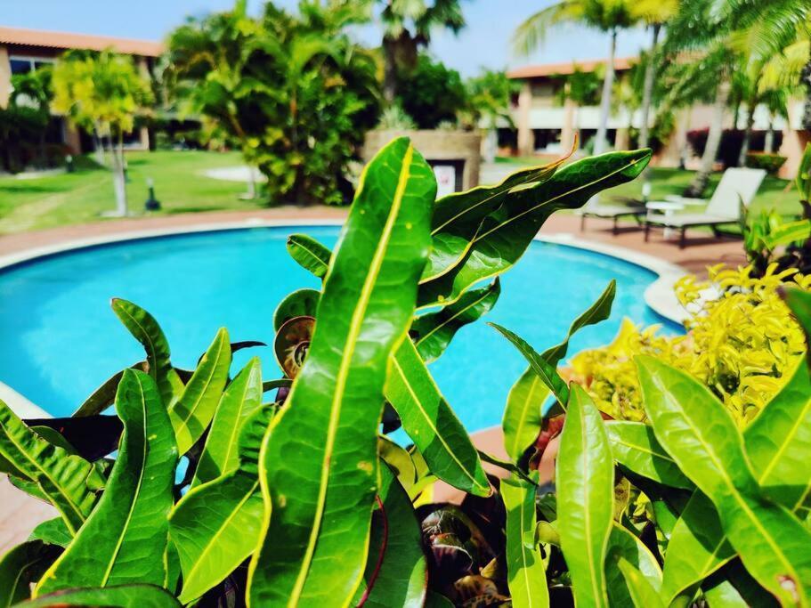 Aruba Family Oasis 2Br Pool 3Min Walk To Eagle Beach Palm Beach Exteriér fotografie