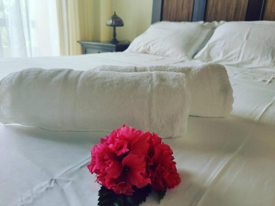 Aruba Family Oasis 2Br Pool 3Min Walk To Eagle Beach Palm Beach Exteriér fotografie