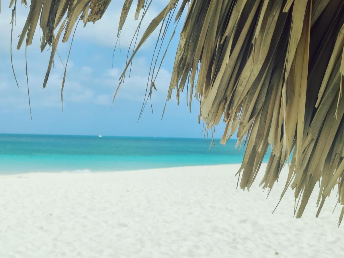 Aruba Family Oasis 2Br Pool 3Min Walk To Eagle Beach Palm Beach Exteriér fotografie
